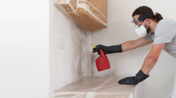 Professional Bathroom Mold Removal technician working in West New York, NJ